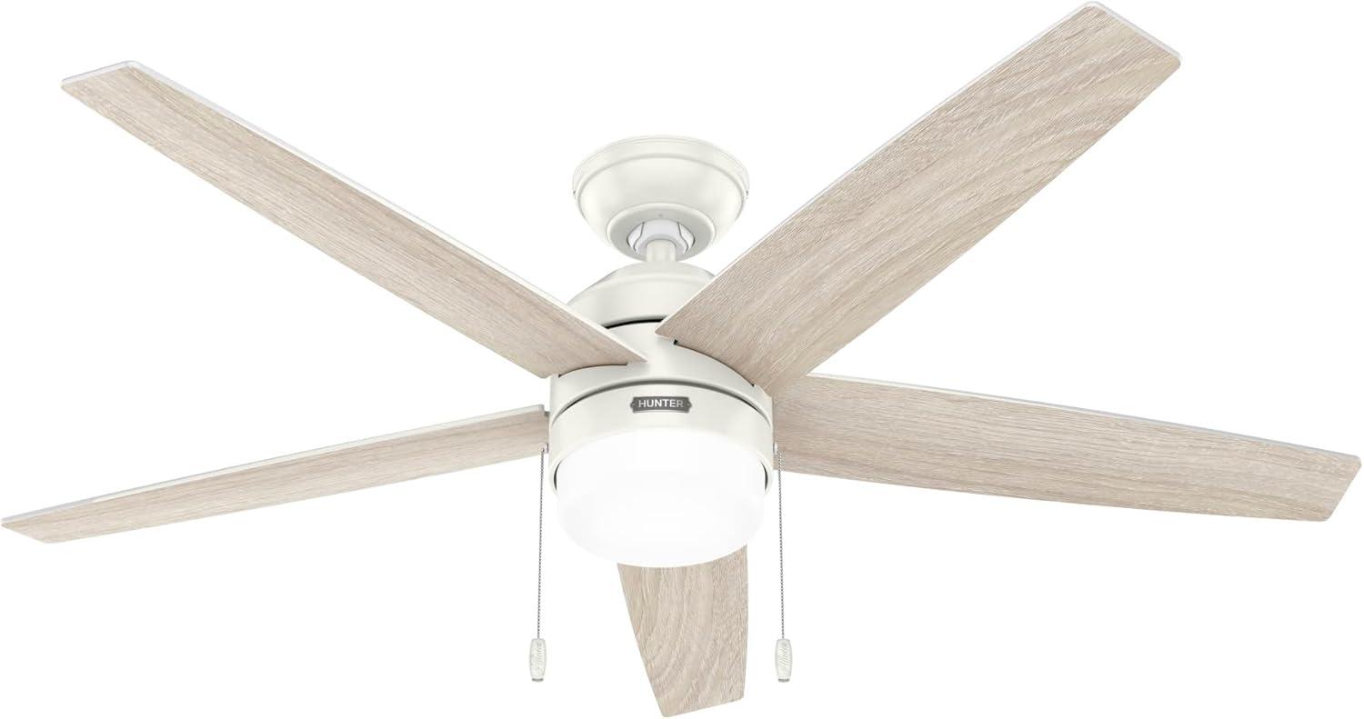 Bardot 52" 5 - Blade Ceiling Fan With Lights and Pull Chains