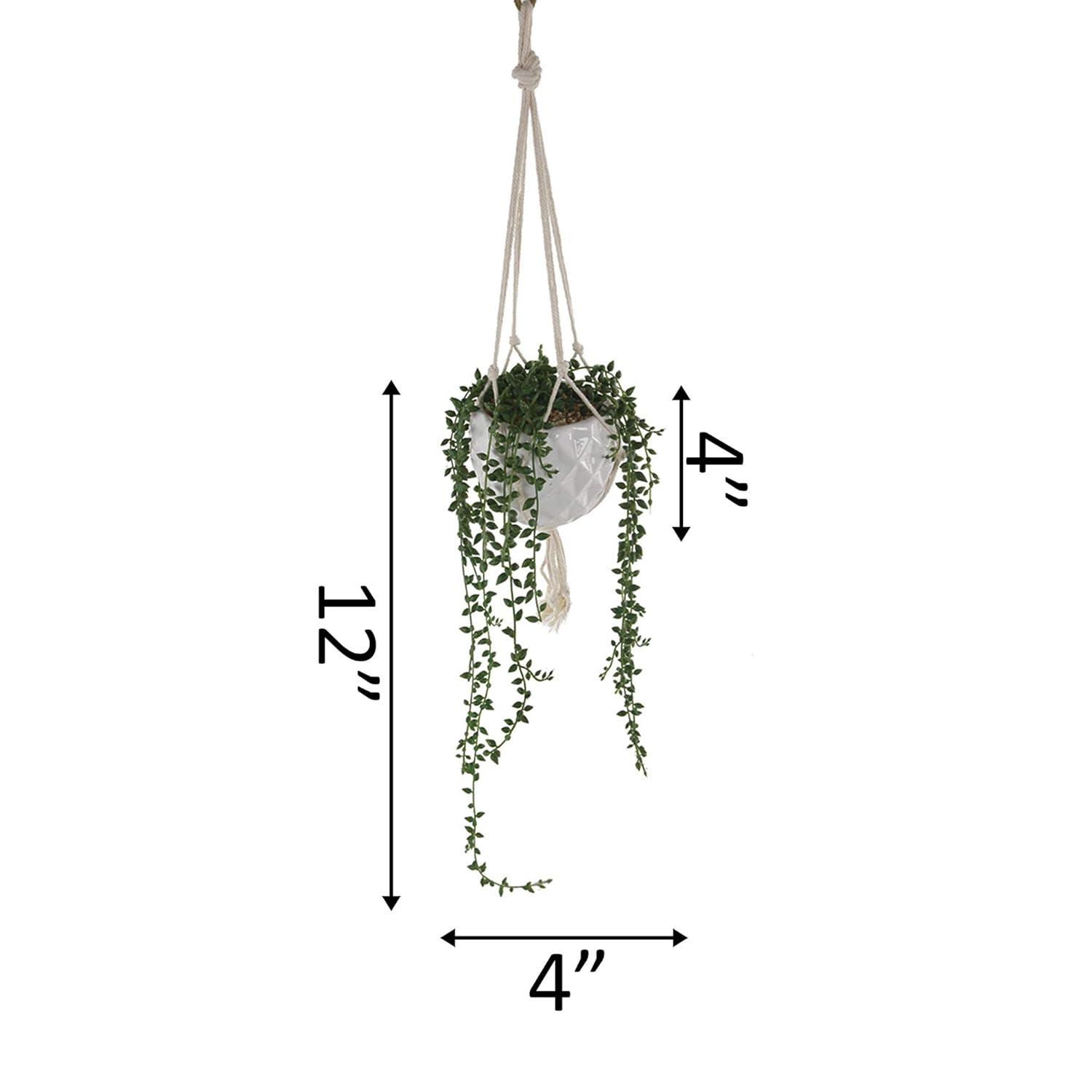 Flora Bunda 13 Inches Long String of Pearl Lover's Tear Macrame Hanging Ceramic Donkey Tails Planter