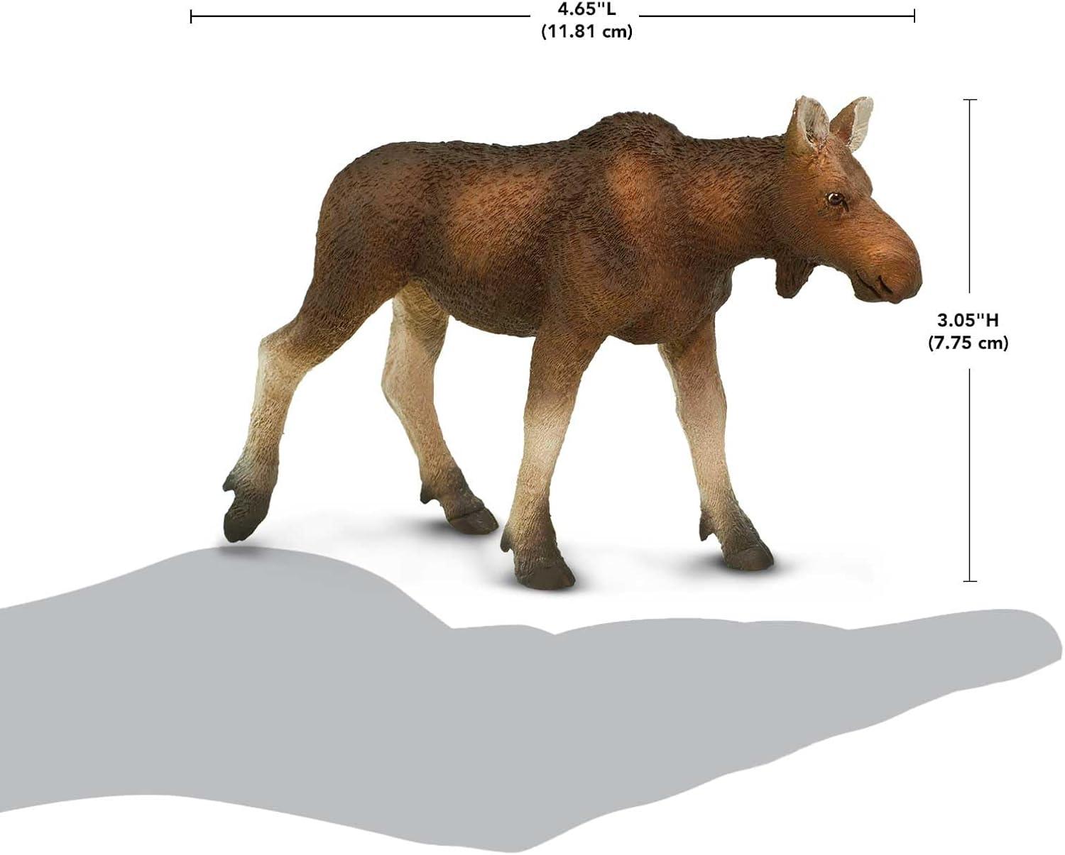 Safari Ltd. Cow Moose Figurine - Lifelike 4.5" Model Figure - Educational Toy for Boys, Girls, and Kids Ages 1+