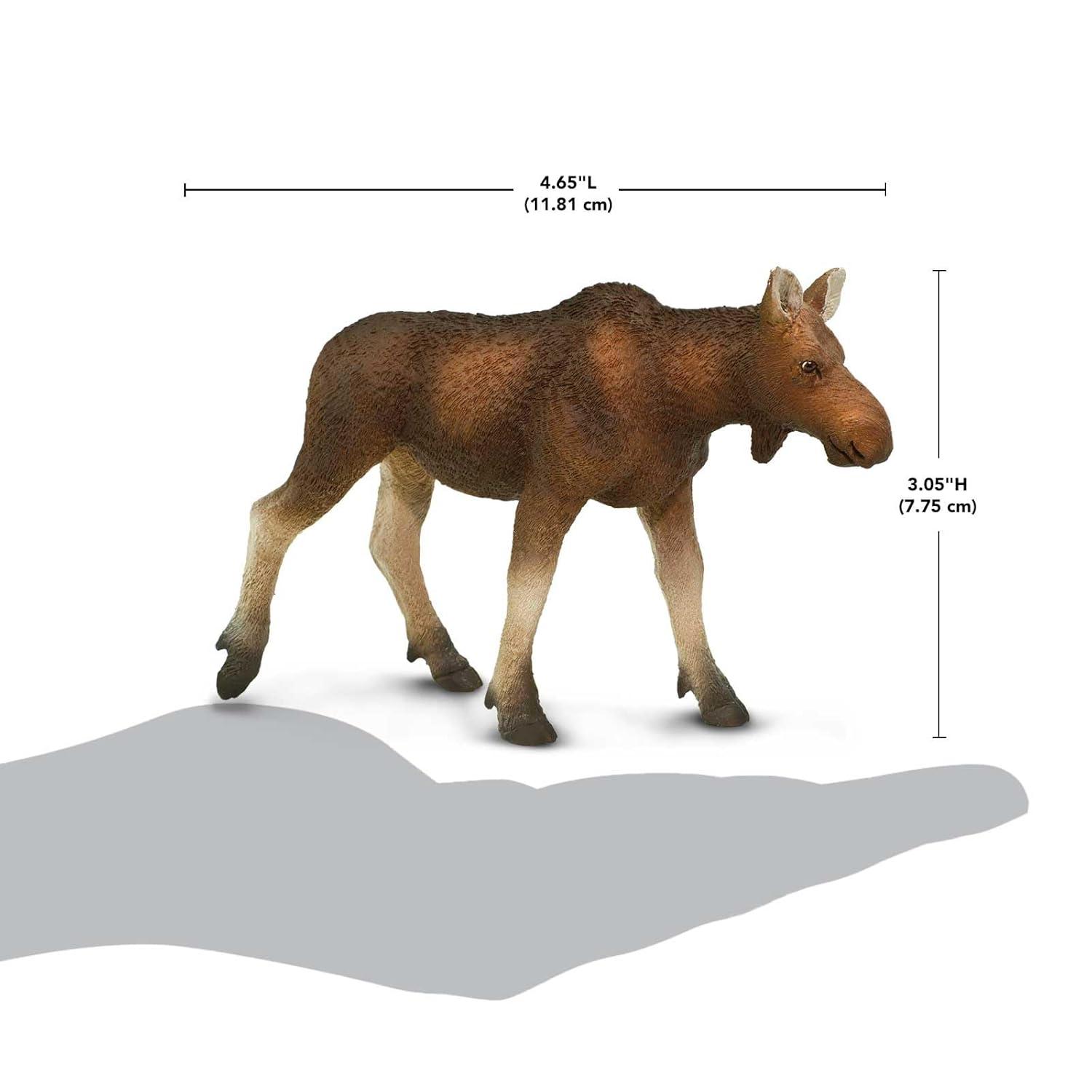 Safari Ltd. Cow Moose Figurine - Lifelike 4.5" Model Figure - Educational Toy for Boys, Girls, and Kids Ages 1+