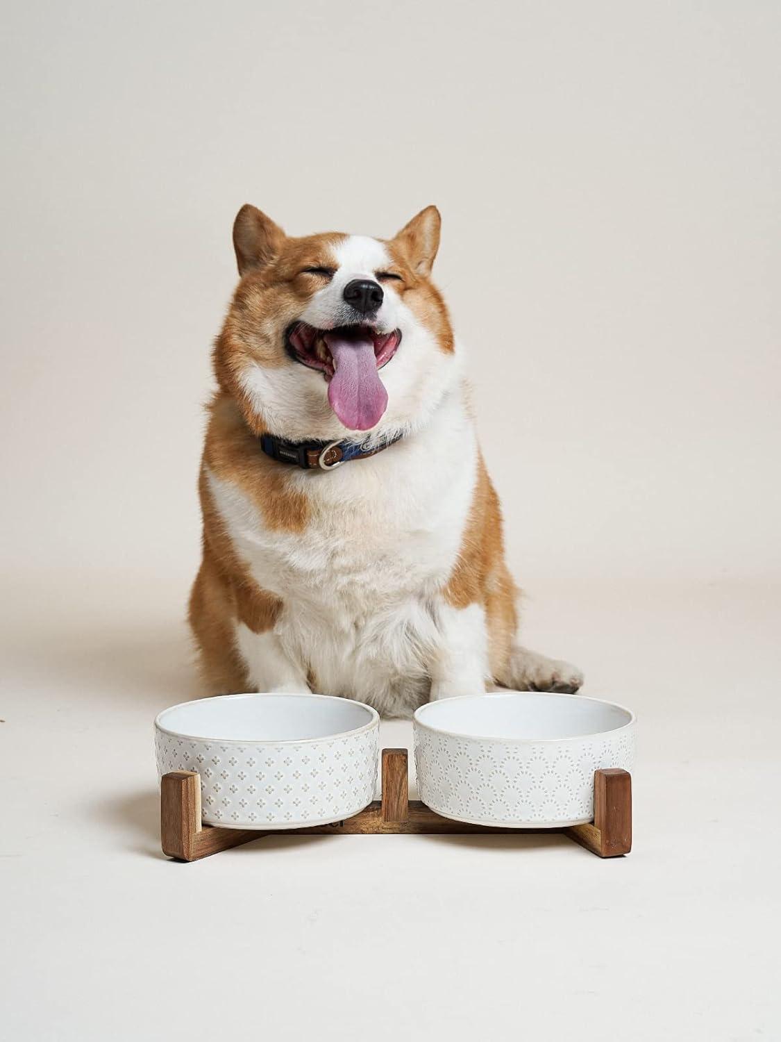 7 Inches Dog Food and Water Bowl