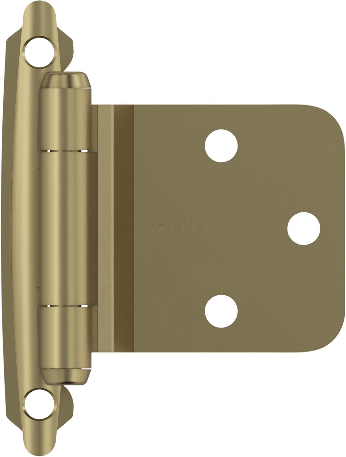 30° Reverse Bevel Overlay Hinge