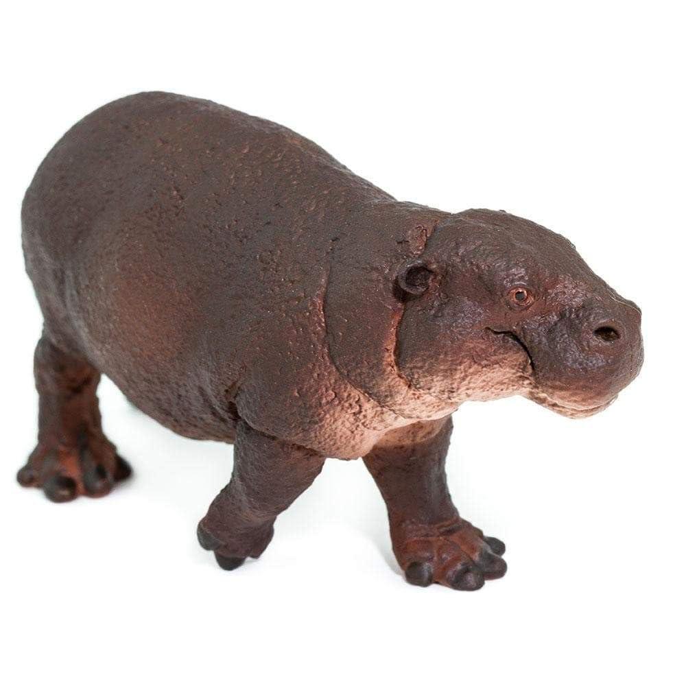 Safari Ltd. Pygmy Hippopotamus Figurine - Lifelike 3.25" Animal Figure - Educational Toy for Boys, Girls, and Kids Ages 3+