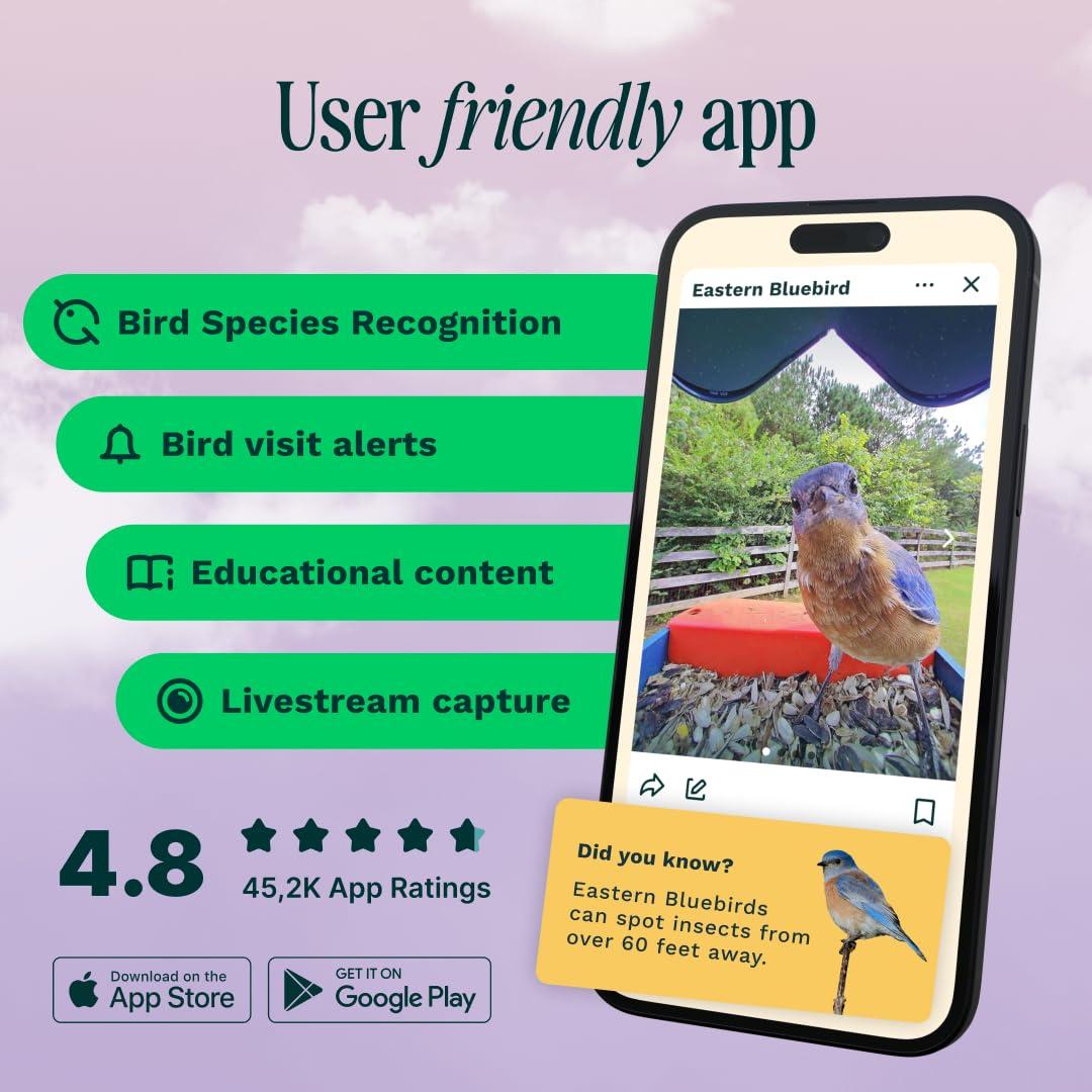 Bird Buddy Smart Bird Feeder with Camera and Solar Roof: Weather-Resistant, Hanging or Pole Mount