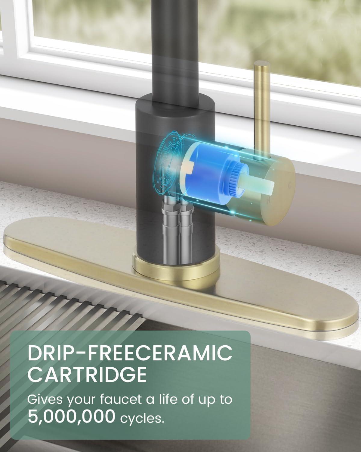 VIBRANTBATH Pull Out Kitchen Faucet