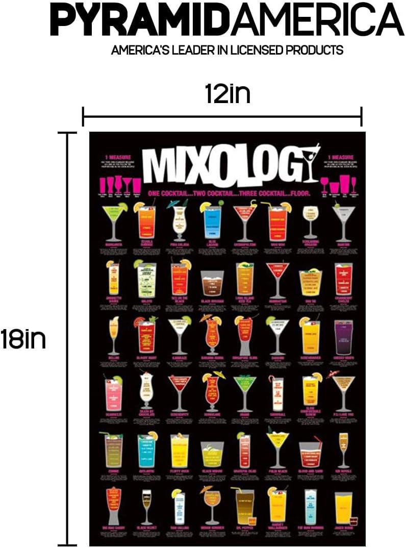 Mixology Laminated Poster (24 x 36)