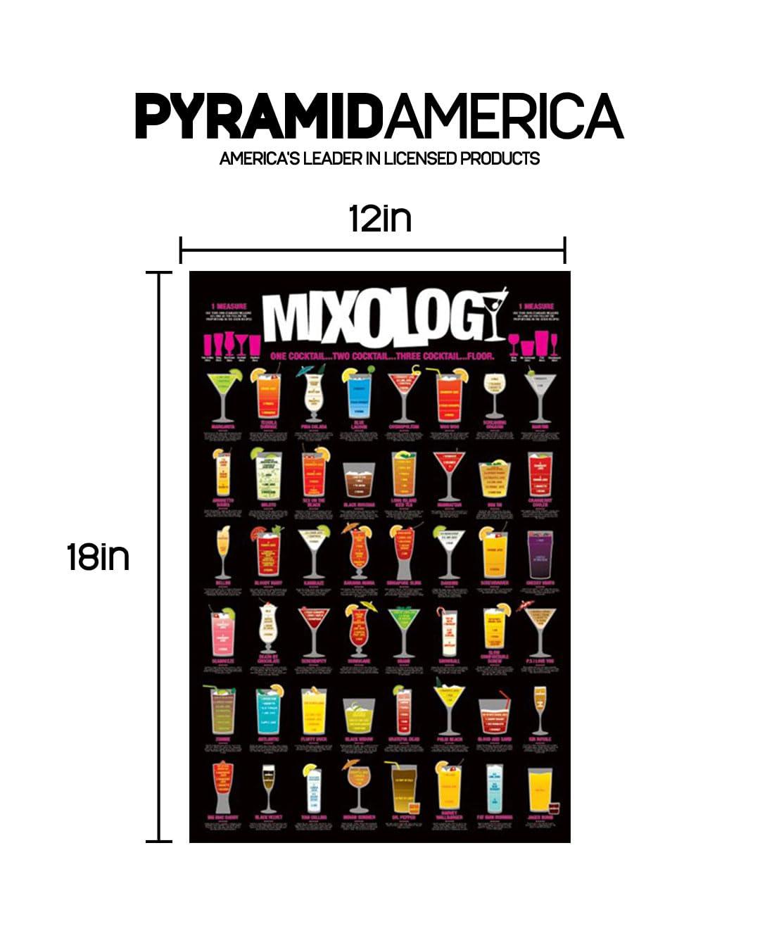 Mixology Laminated Poster (24 x 36)