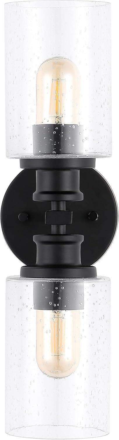 JONATHAN Y Jules Edison 16.5" Cylinder 2-Light Iron/Seeded Glass Farmhouse Contemporary LED Wall Sconce, Black