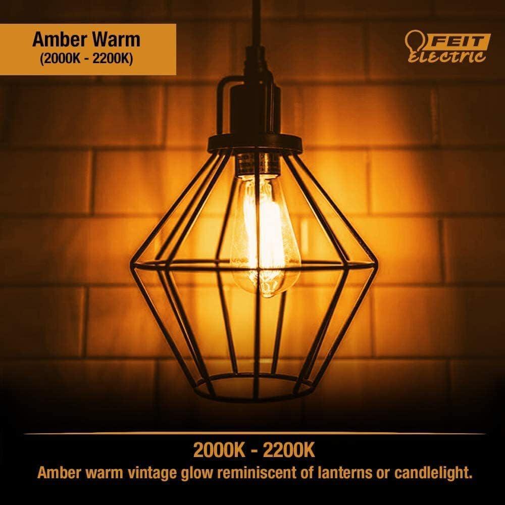 Feit Electric ST52 E26 (Medium) LED Bulb Amber 60 Watt Equivalence 1 pk