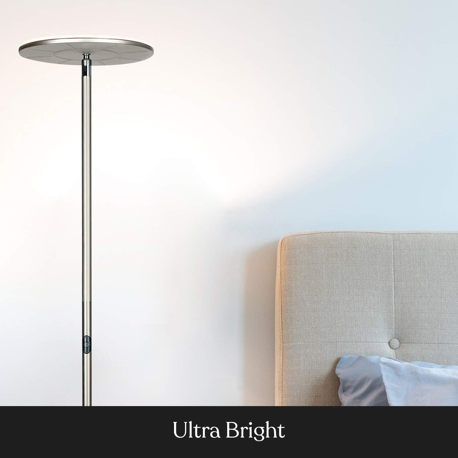 Industrial 1-Light Dimmable LED Floor Lamp with Adjustable Head