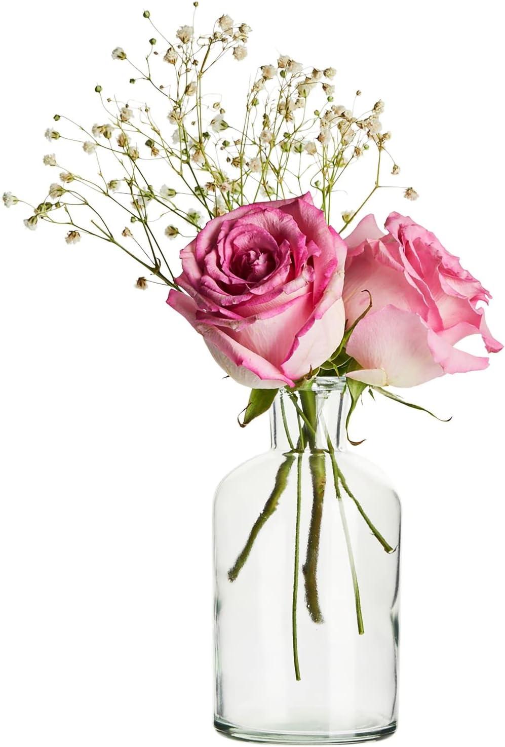 Juvale Farmlyn Creek 6-Pack Small Clear Vases for Centerpieces, Glass Jars for Stems, Flower Buds, Home Décor (2.8x5 In)