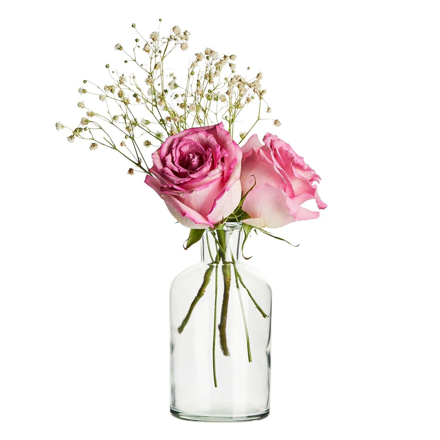 Juvale Farmlyn Creek 6-Pack Small Clear Vases for Centerpieces, Glass Jars for Stems, Flower Buds, Home Décor (2.8x5 In)