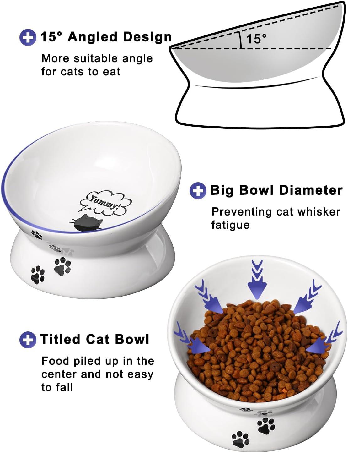 Cat Bowl Anti Vomiting,Raised Cat Food Bowls, Tilted Elevated Cat Bowl, Ceramic Pet Food Bowl for Flat Faced Cats, Small Dogs