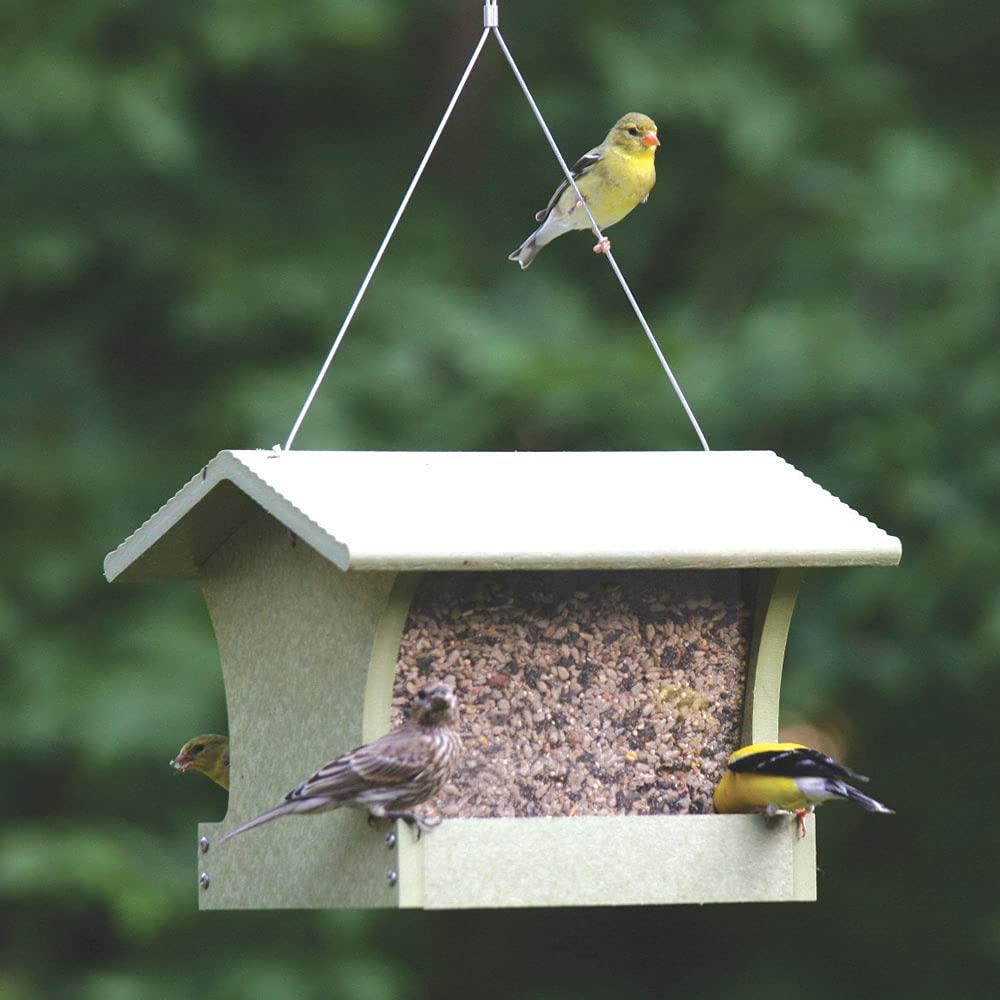Birds Choice Hanging Hopper Bird Feeder
