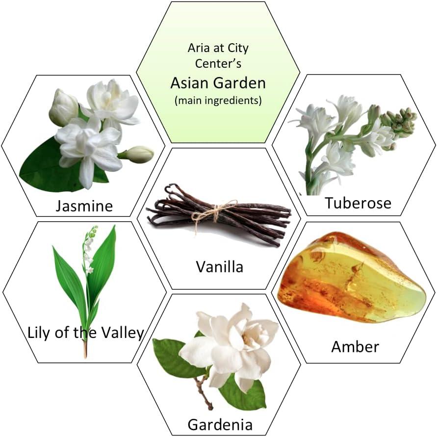 Aroma Retail Asian Garden Soy Wax Melts for Wax Warmer Floral Scent, 3-Pack