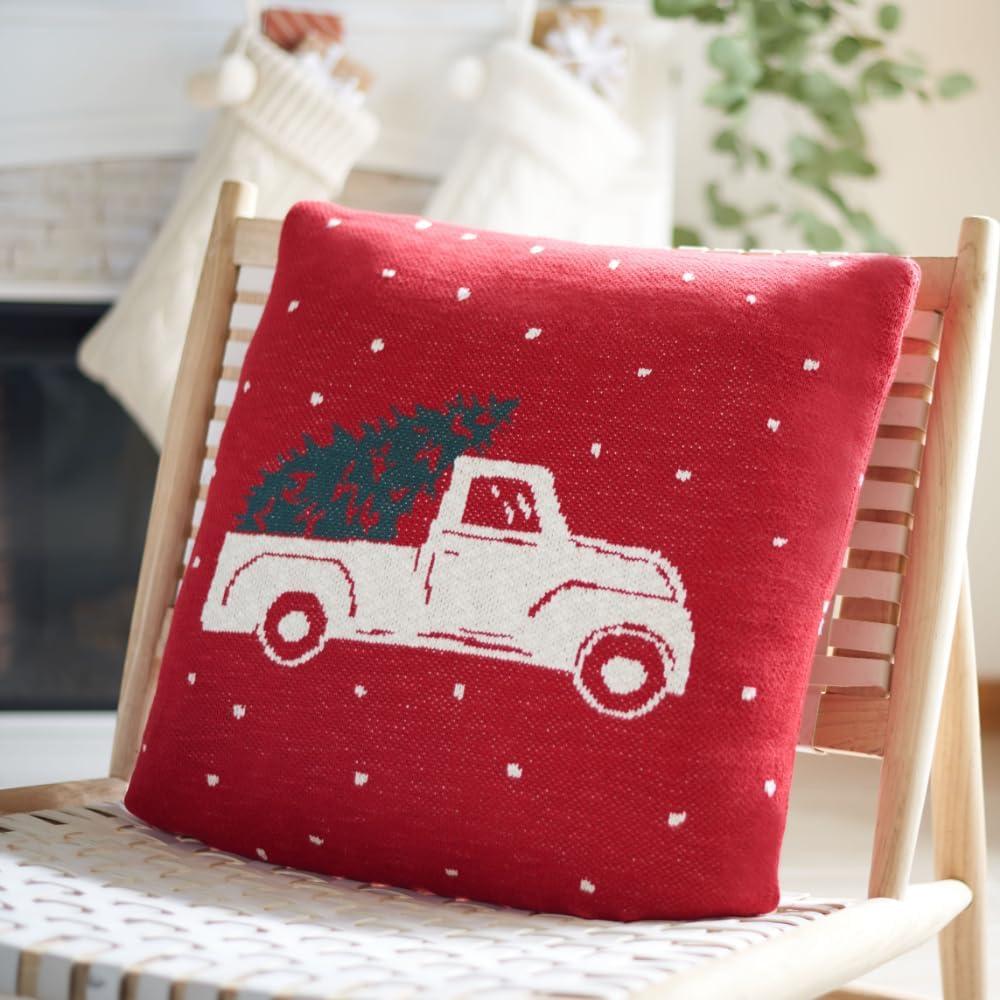 Homeward Pillow - Red - 20"X20" - Safavieh