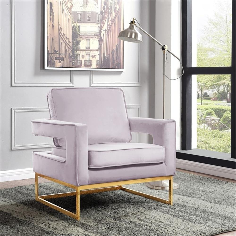 Meridian Furniture Noah Pink Velvet Accent Chair with Gold Iron Base