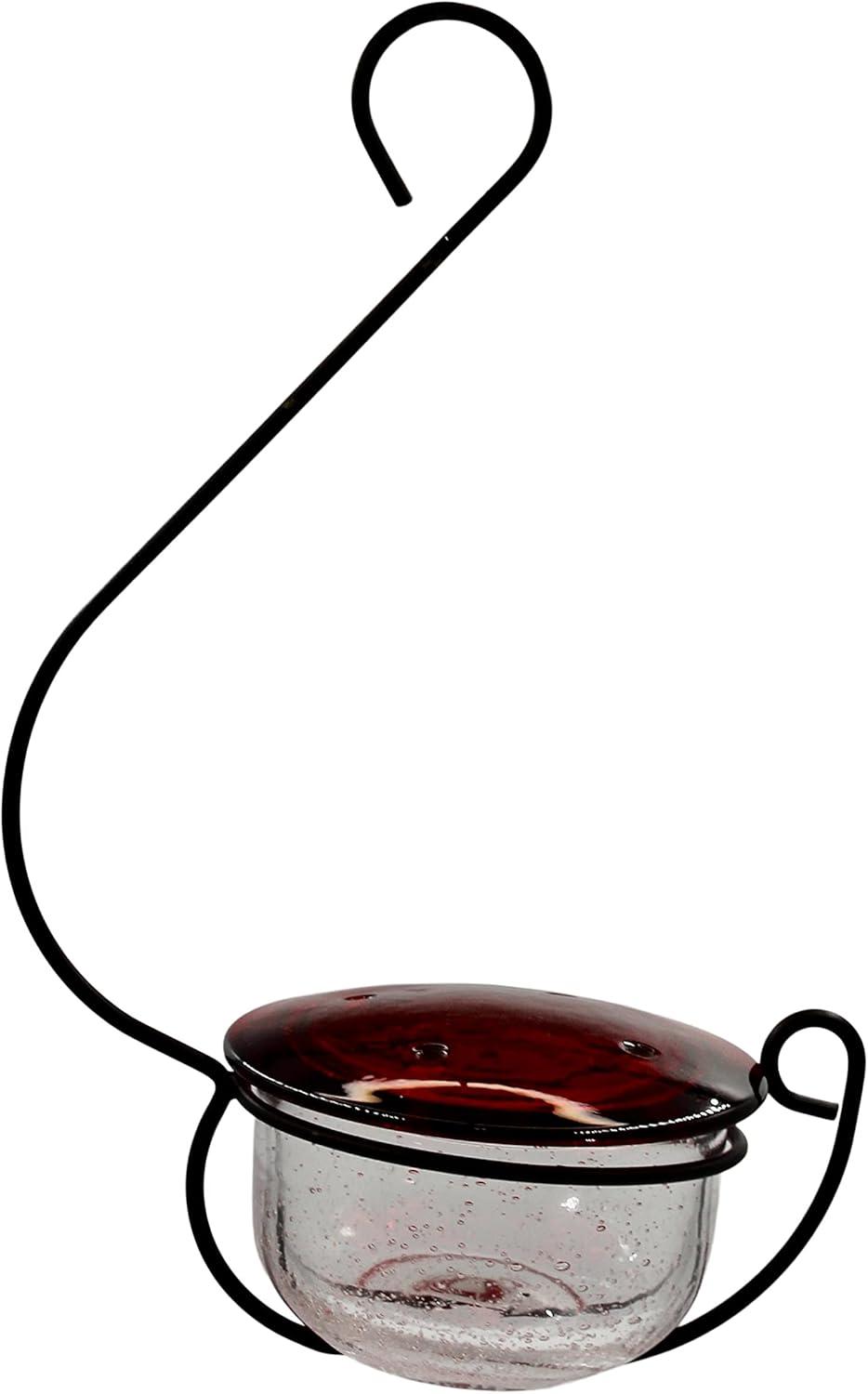 Backyard Essentials Clear Bubble Glass Hanging Hummingbird Feeder - 6 oz