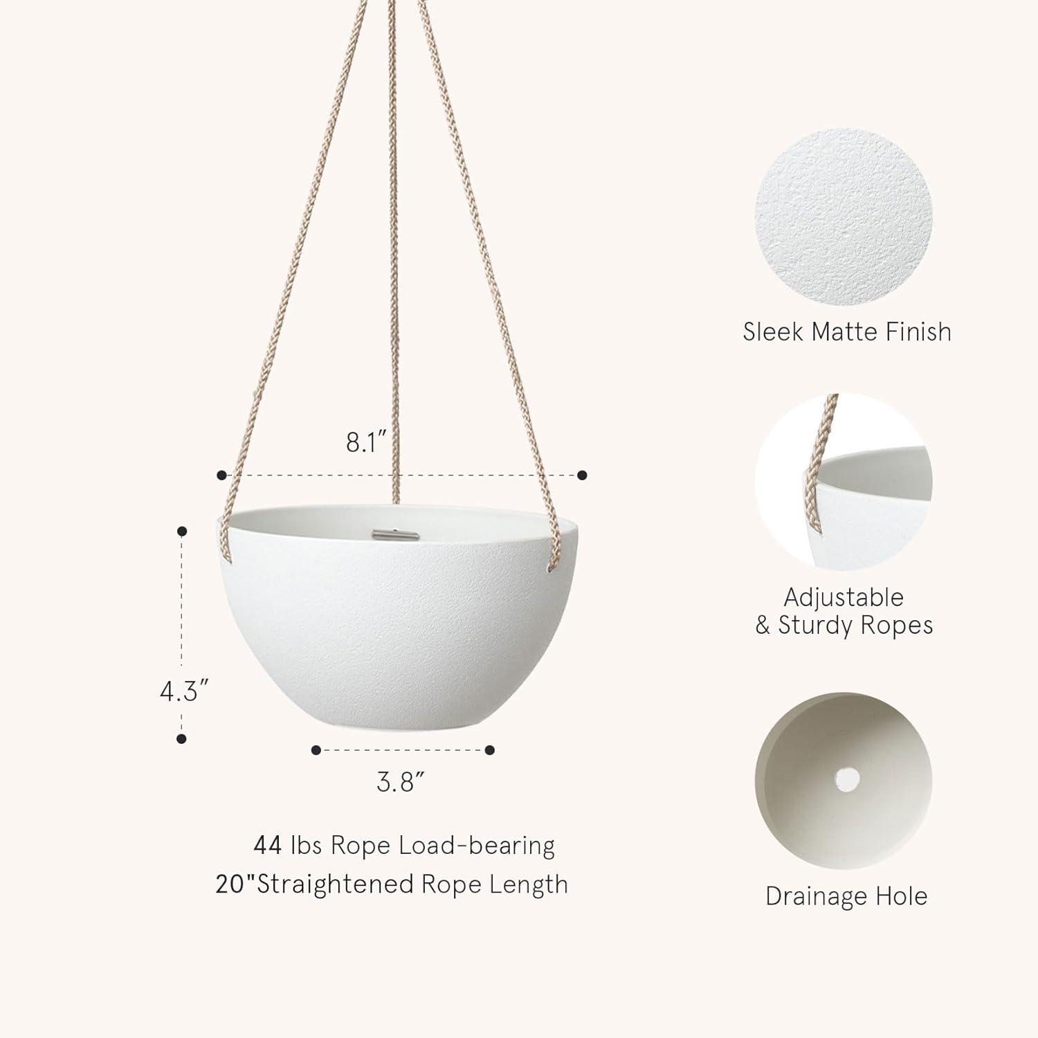 Boxdale Hanging Planter - Set of 2 (Set of 2)
