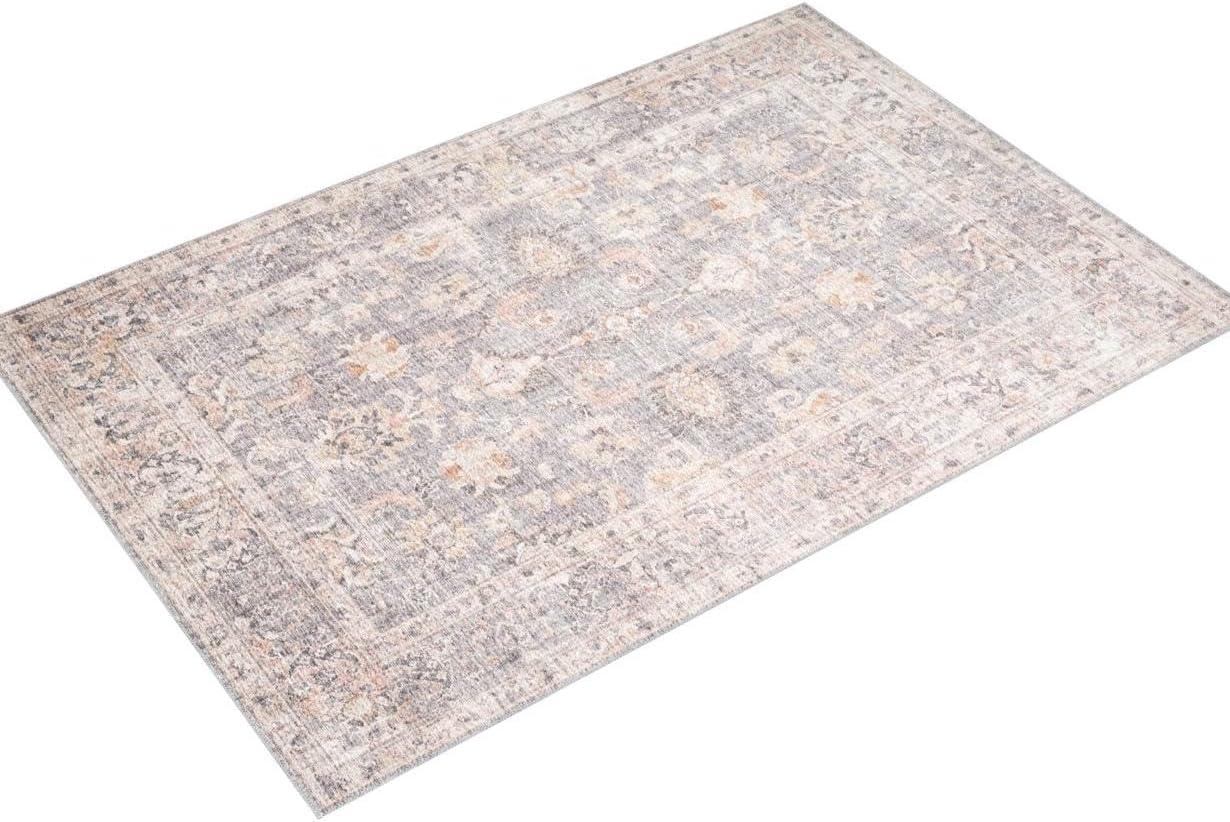 Skye Grey/Apricot 6' x 9' Printed Oriental Area Rug