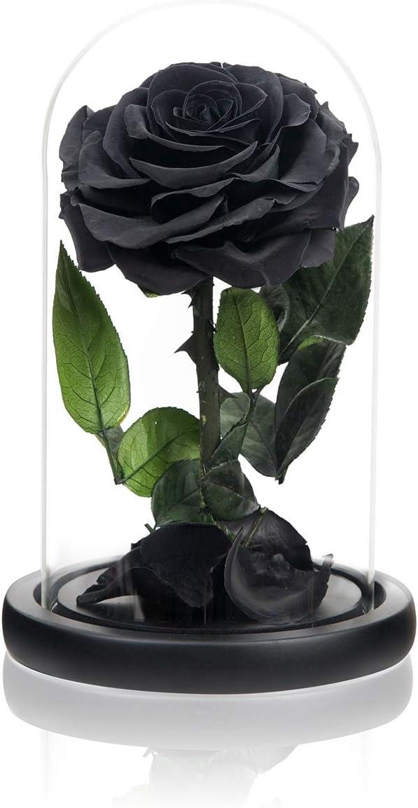 Handmade Preserved Black Rose in Glass Dome for Valentine's Day