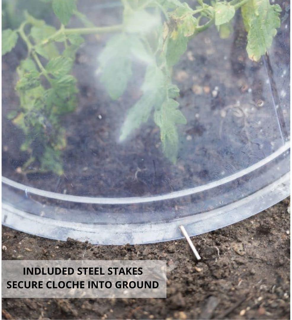 Gardeners Supply Company Large Garden Cloche Plant Protector | Clear Sturdy PVC Plants Bell Dome Heat & Freeze Cover with Top Hole Ventilation for