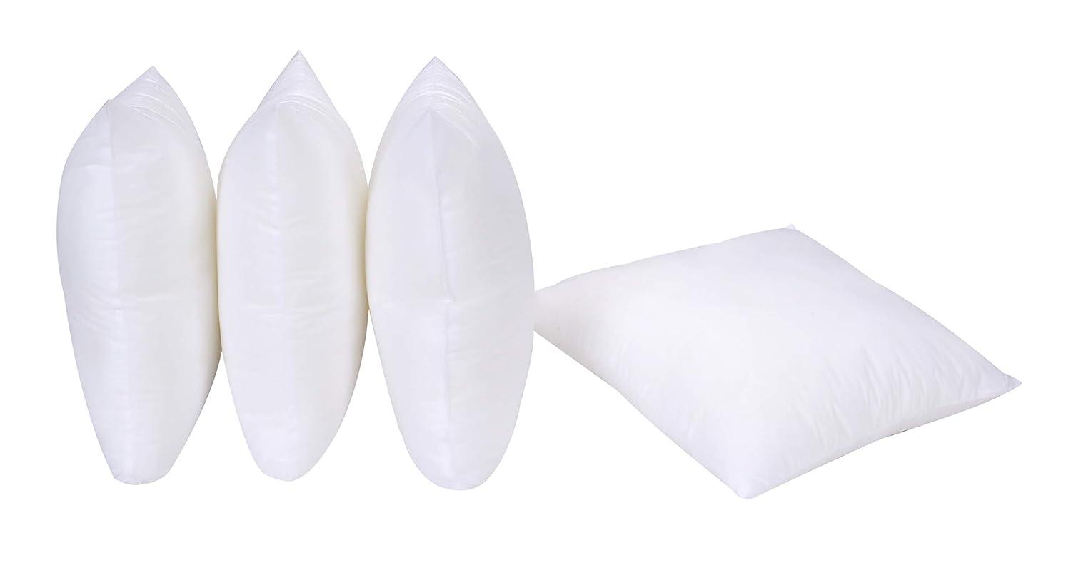 FBTS Prime 18x18 inch Square White Solid Down Alternative Pillow Inserts, 2 Packs