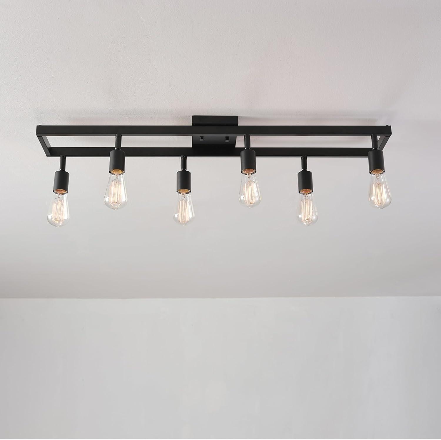 Matte Black 6-Light Adjustable Track Lighting Fixture