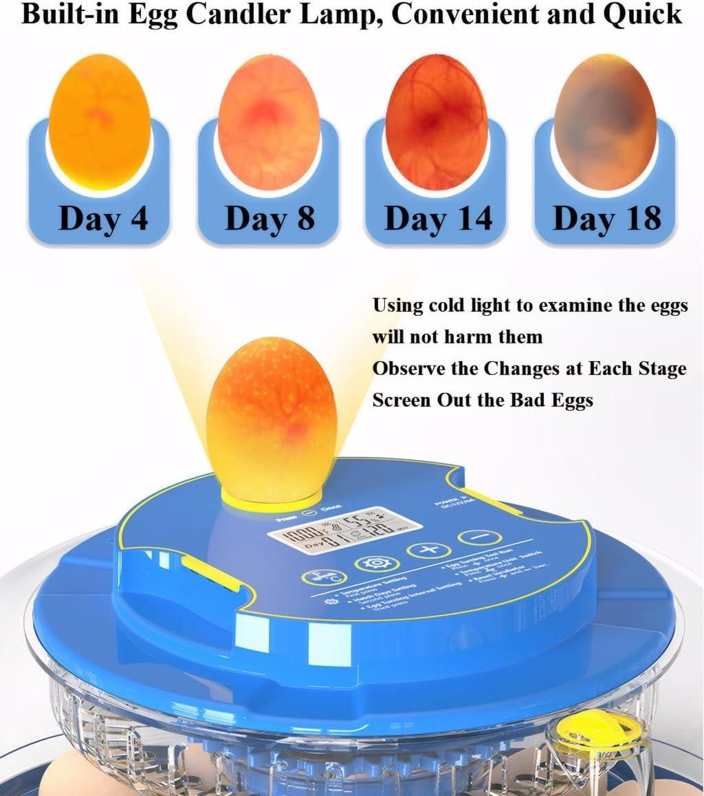 18 Egg Incubators for Hatching Eggs,Egg Incubator with Precise Humidity & Temperature Control,Incubators for Auto Egg Turning,Auto Water Add,Egg Candler,Applicable to Chicken,Goose,Duck,Quail