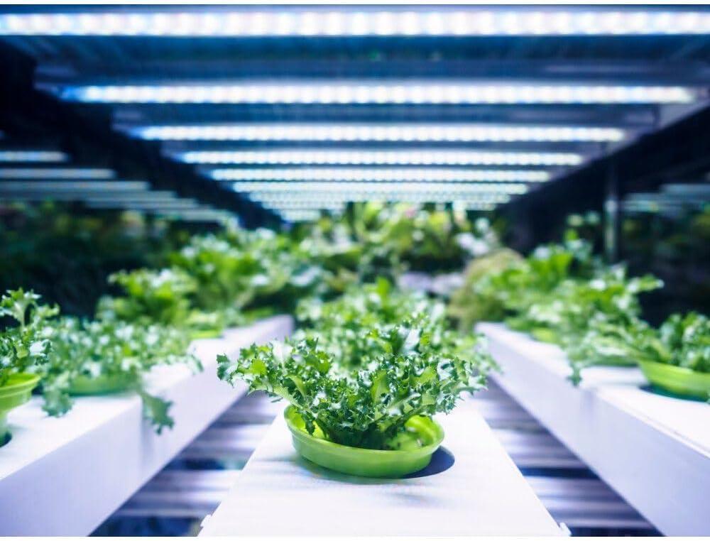 Feit Electric Square Connector LED Grow Light Color Changing 1 pk