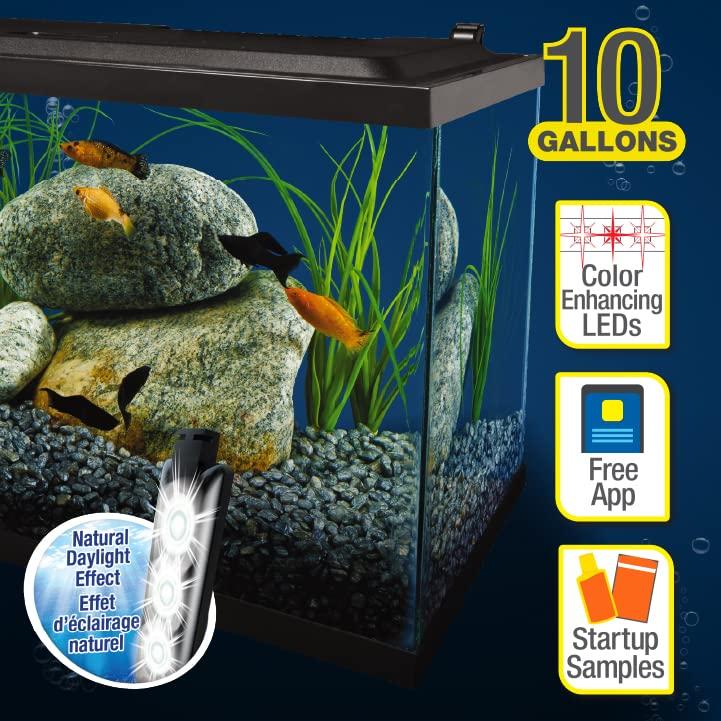 Tetra 10 Gallon Glass LED Aquarium Kit