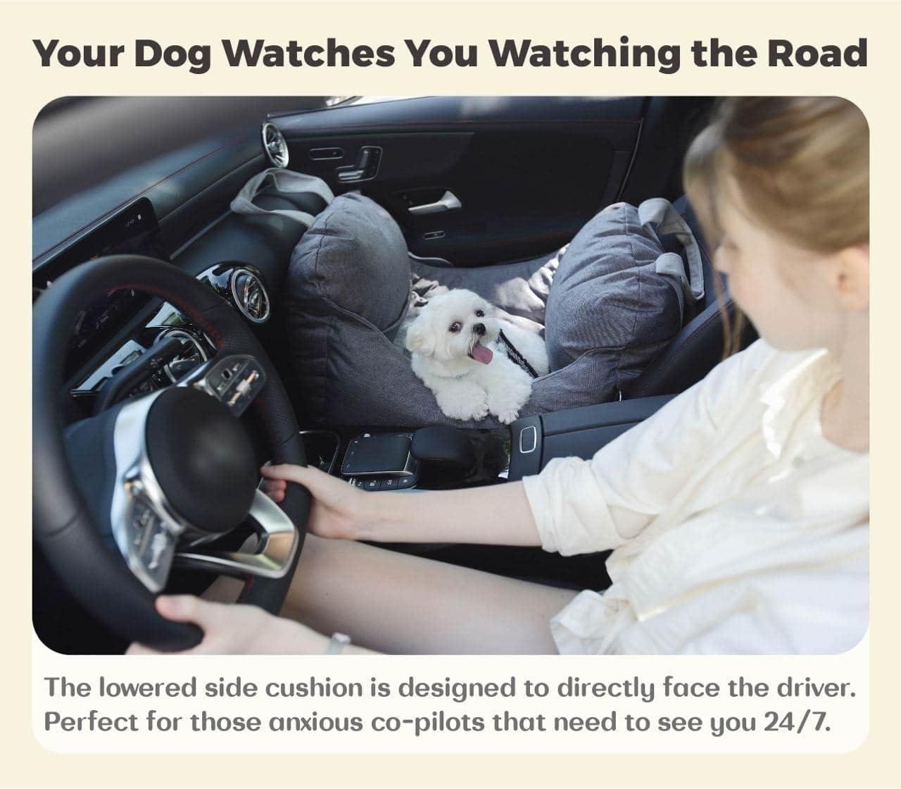 PET AWESOME Dog Car Seat, Puppy Booster Seat, Travel Carrier Bed for Small and Medium Pets