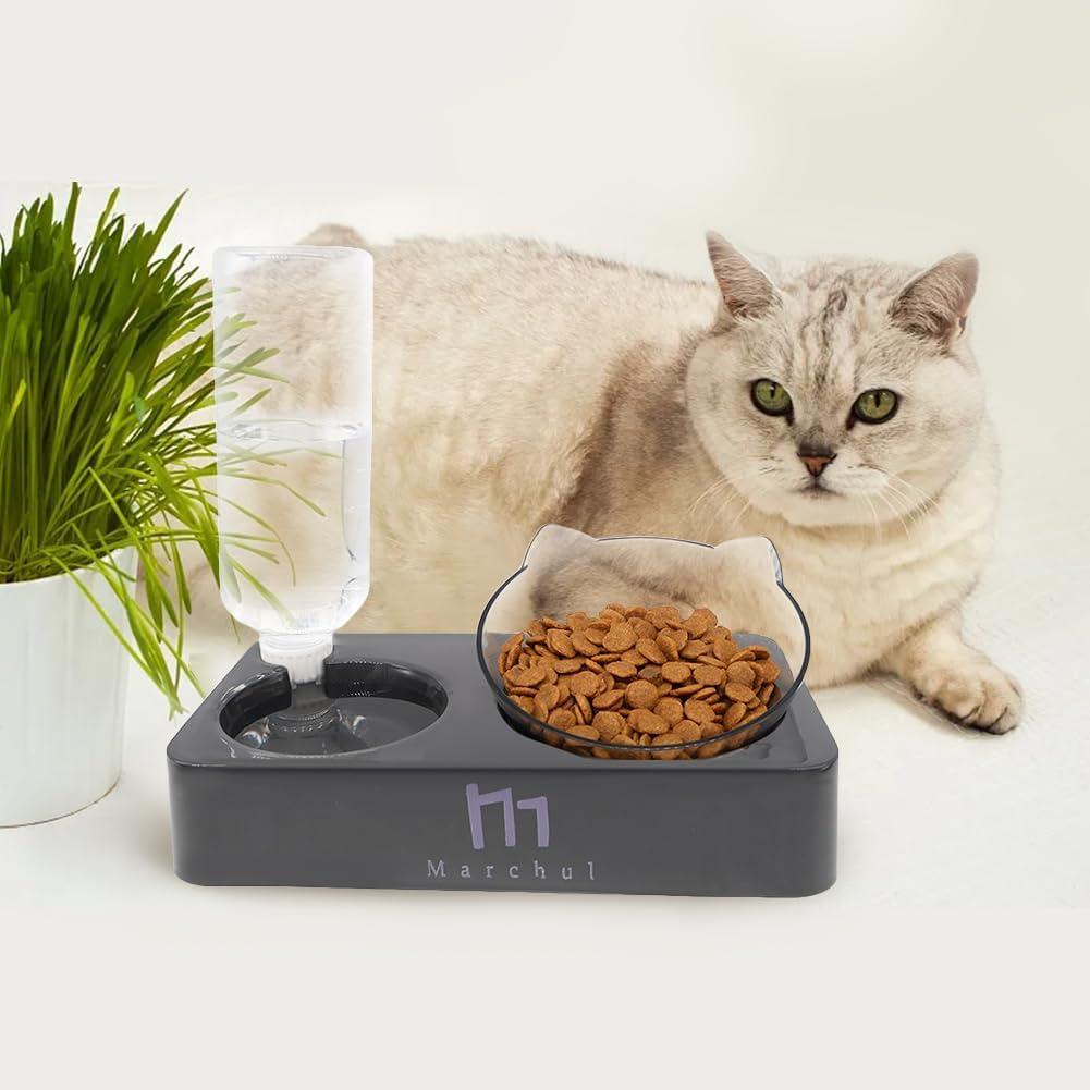 Marchul Tilted Cat Bowl Set for Food and Water, Food Feeding Raised Dishes for Puppies