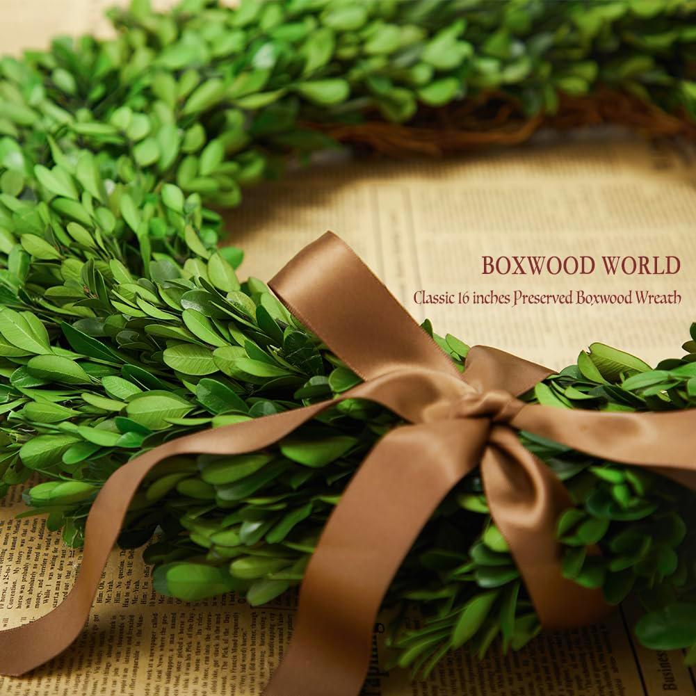 Alby Preserved Boxwood Real Greenery Wreath