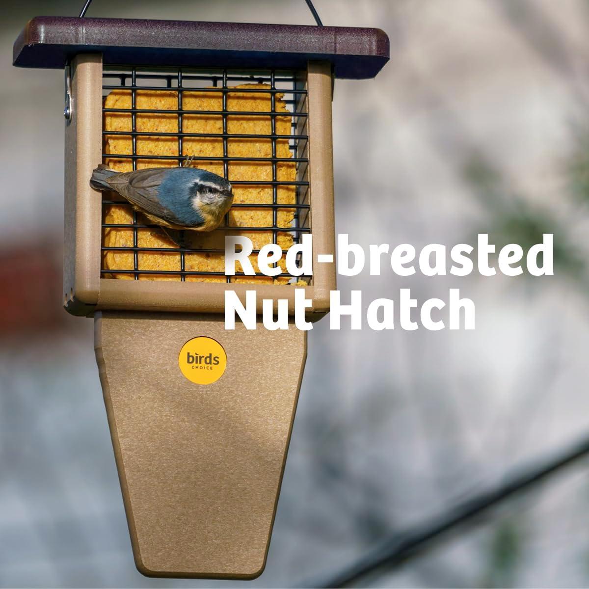 Birds Choice Birds Choice 12" Recycled Single Cake Tail Prop Suet Feeder, Taupe/Green