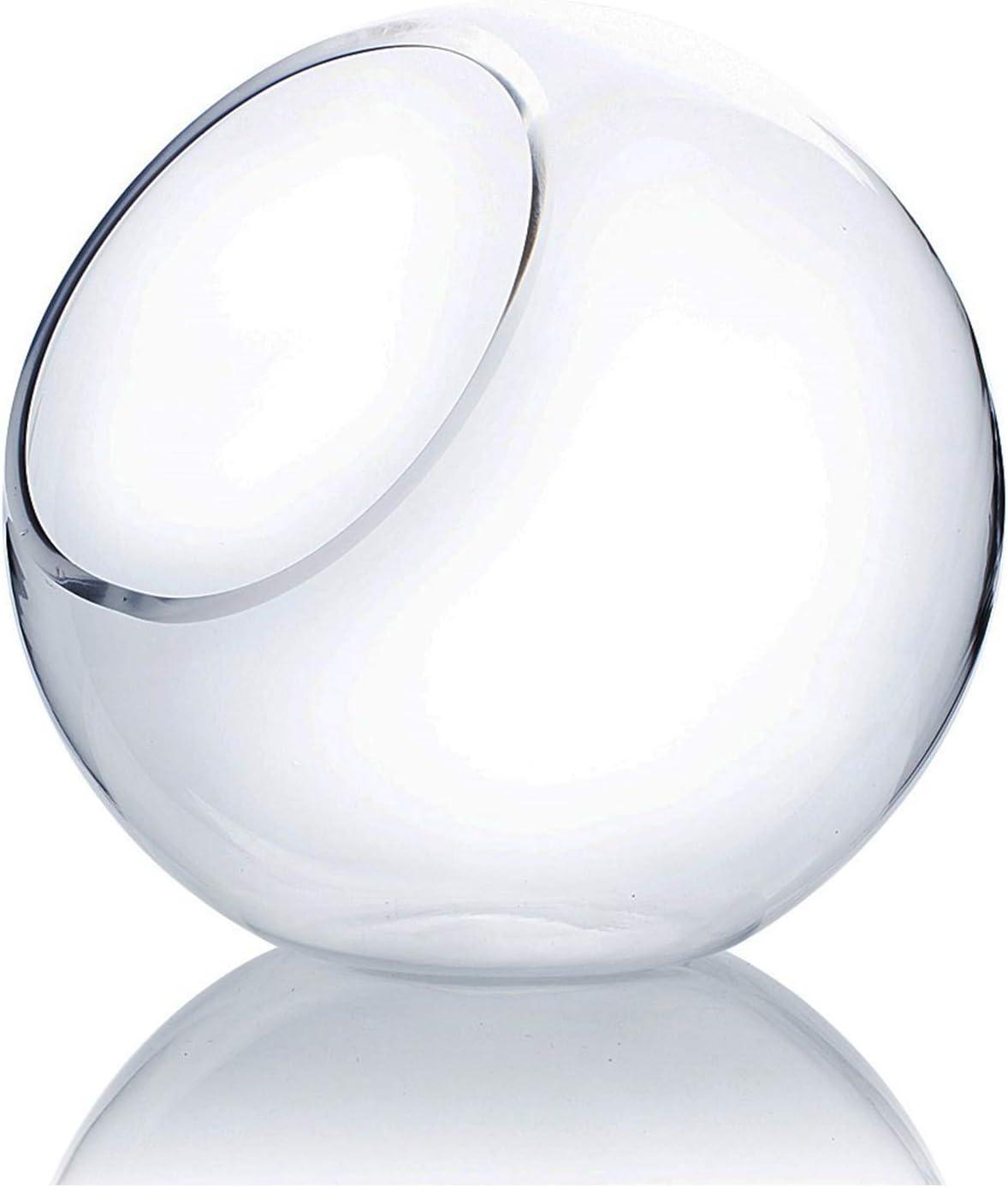 WGV Slant Cut Bowl Glass Vase, Width 9", Height 9", Clear Round Globe Planter Terrarium Orb, Candy Dish, Fruit Jar, Floral Container for Home Office Decor, 1 Piece