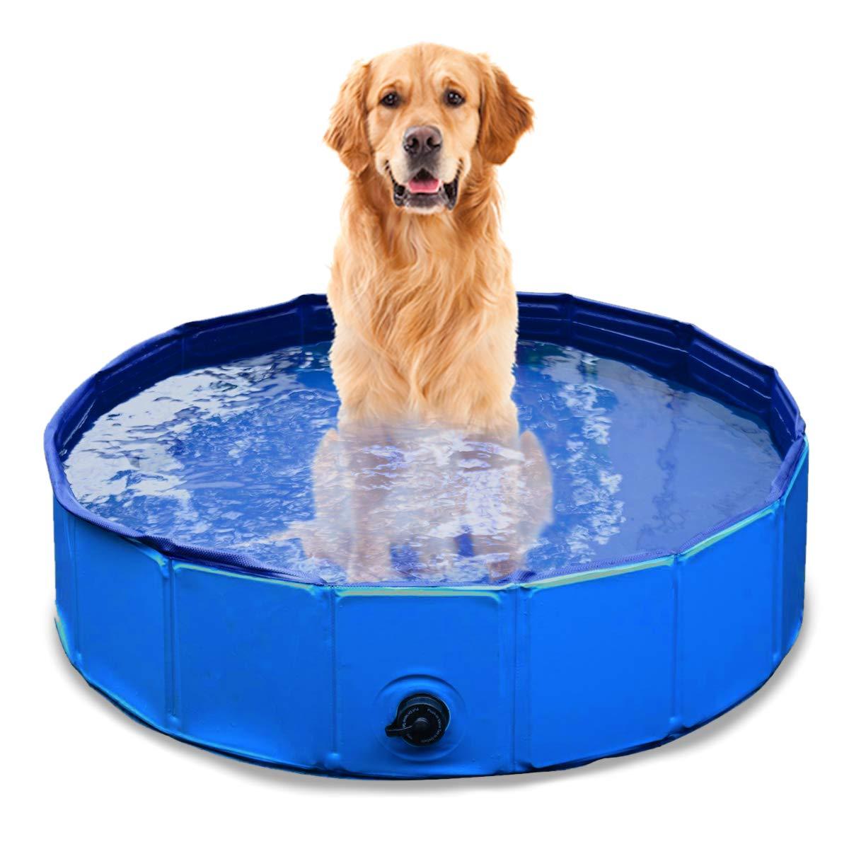 Zone Tech Plastic Round Pet Pool 12'' H x 38'' W x 12'' L