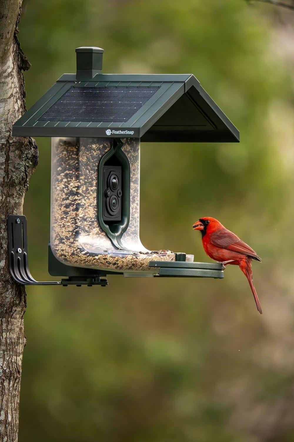 Feathersnap Scout WiFi Solar-Powered Smart Bird Feeder