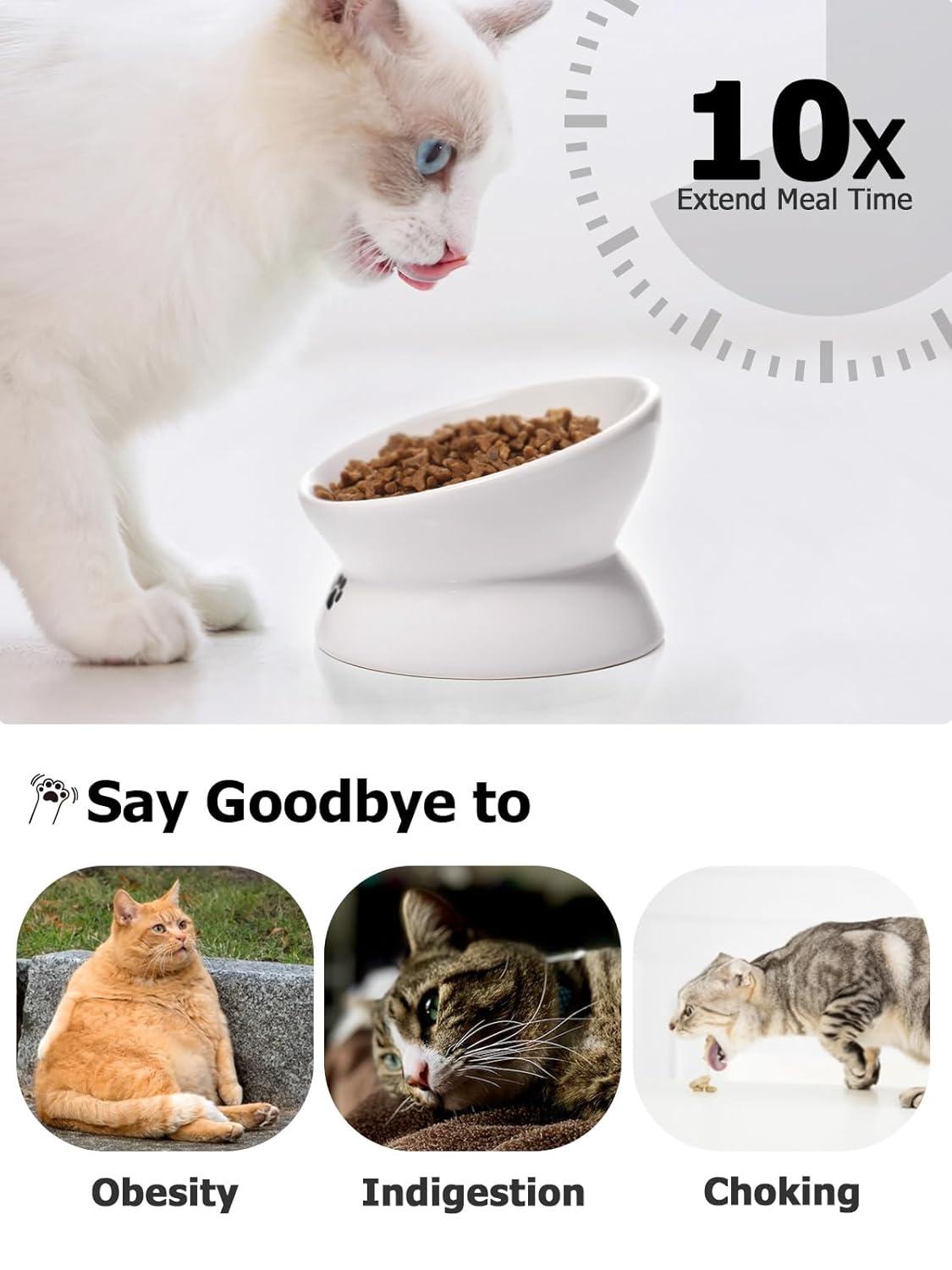 Cat Bowl Anti Vomiting,Raised Cat Food Bowls, Tilted Elevated Cat Bowl, Ceramic Pet Food Bowl for Flat Faced Cats, Small Dogs