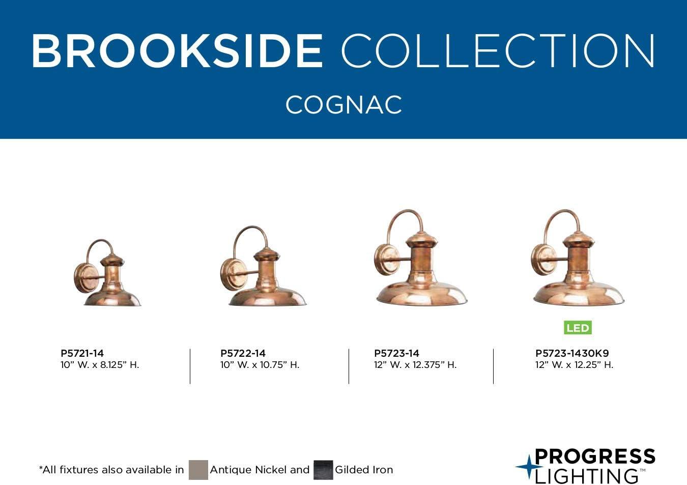 Progress Lighting Brookside 1-Light 12" Copper Wall Lantern