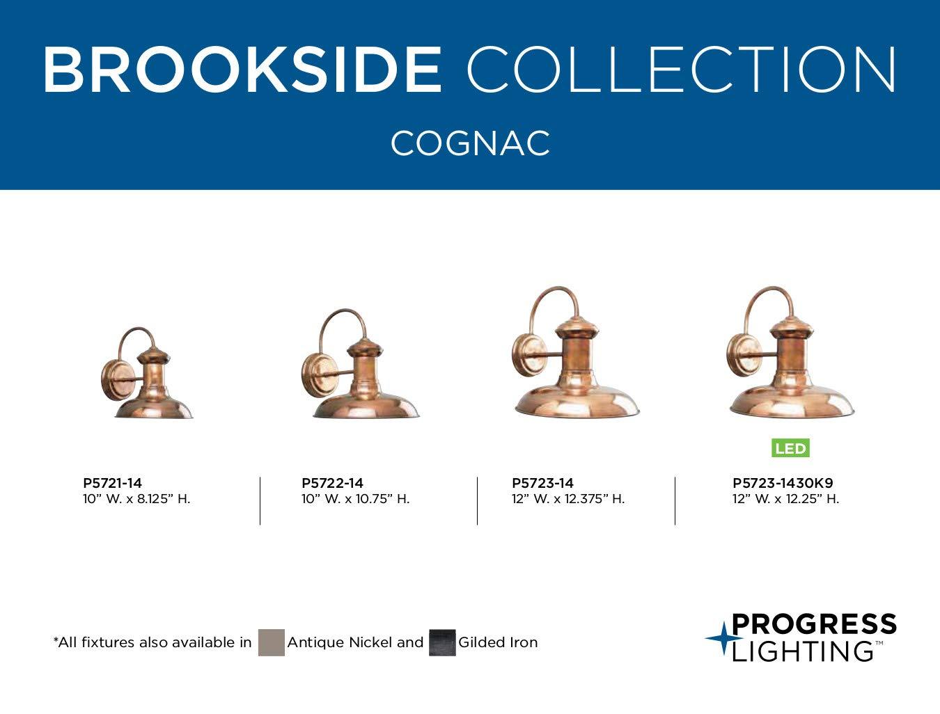 Brookside Collection 8" One-Light Vintage Small Wall Lantern
