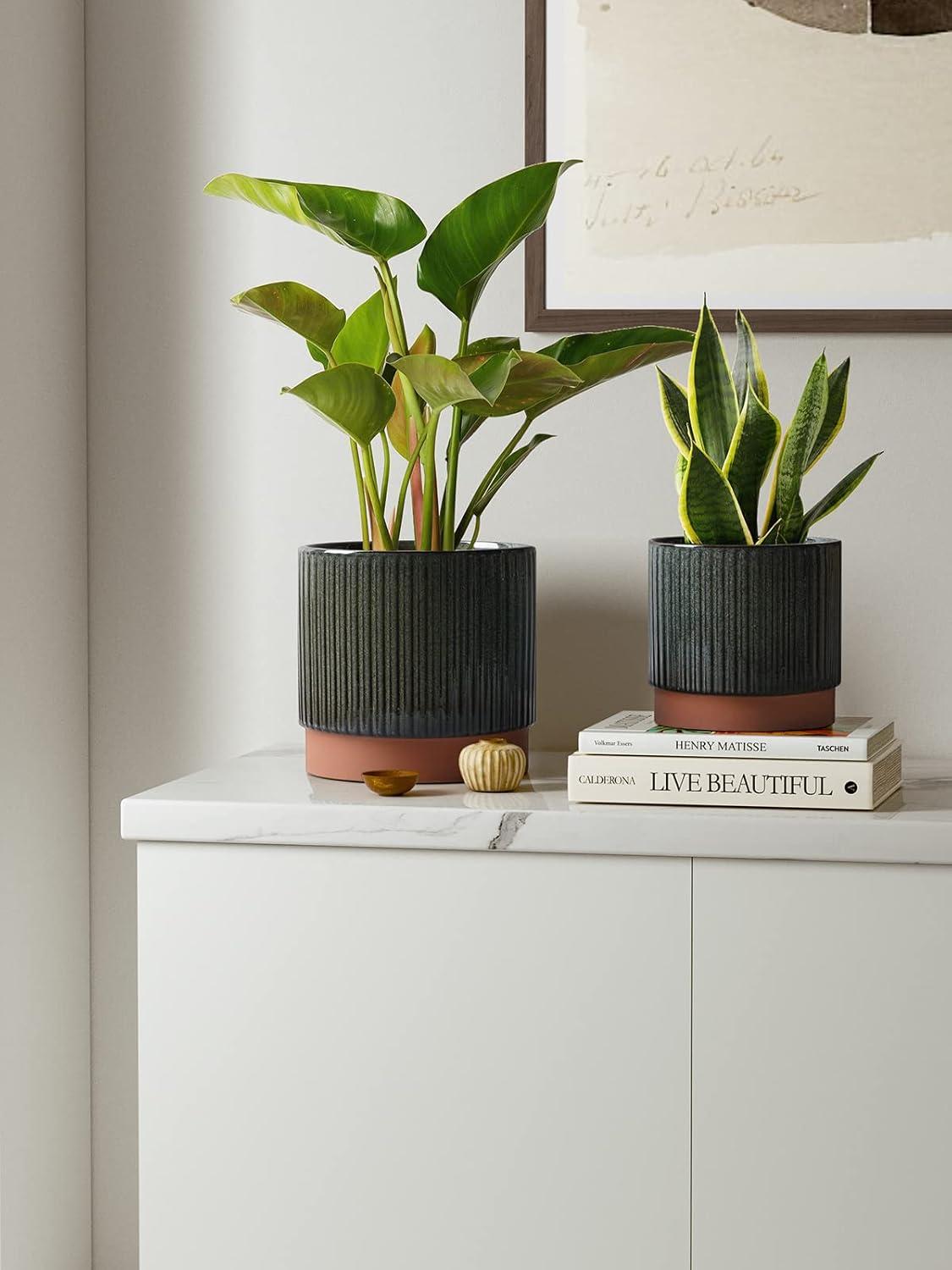 Reactive Glaze Black Ceramic Stripe Round Planter Set with Drainage Holes