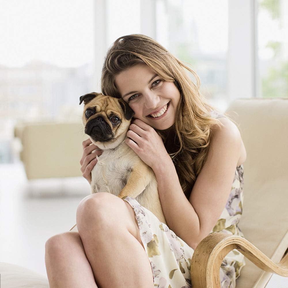 BestPet Foldable Pet Jogger Stroller