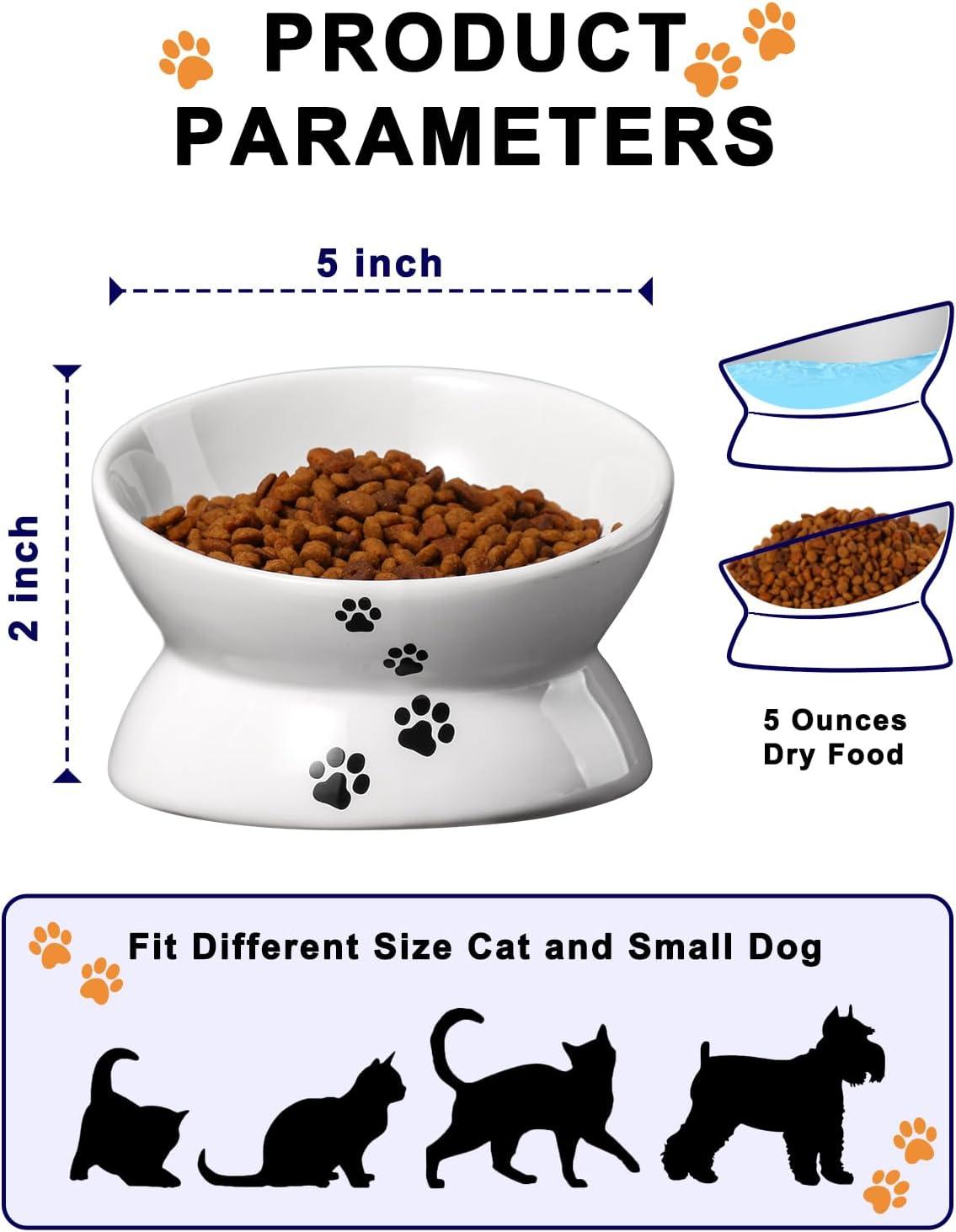 Cat Bowl Anti Vomiting,Raised Cat Food Bowls, Tilted Elevated Cat Bowl, Ceramic Pet Food Bowl for Flat Faced Cats, Small Dogs