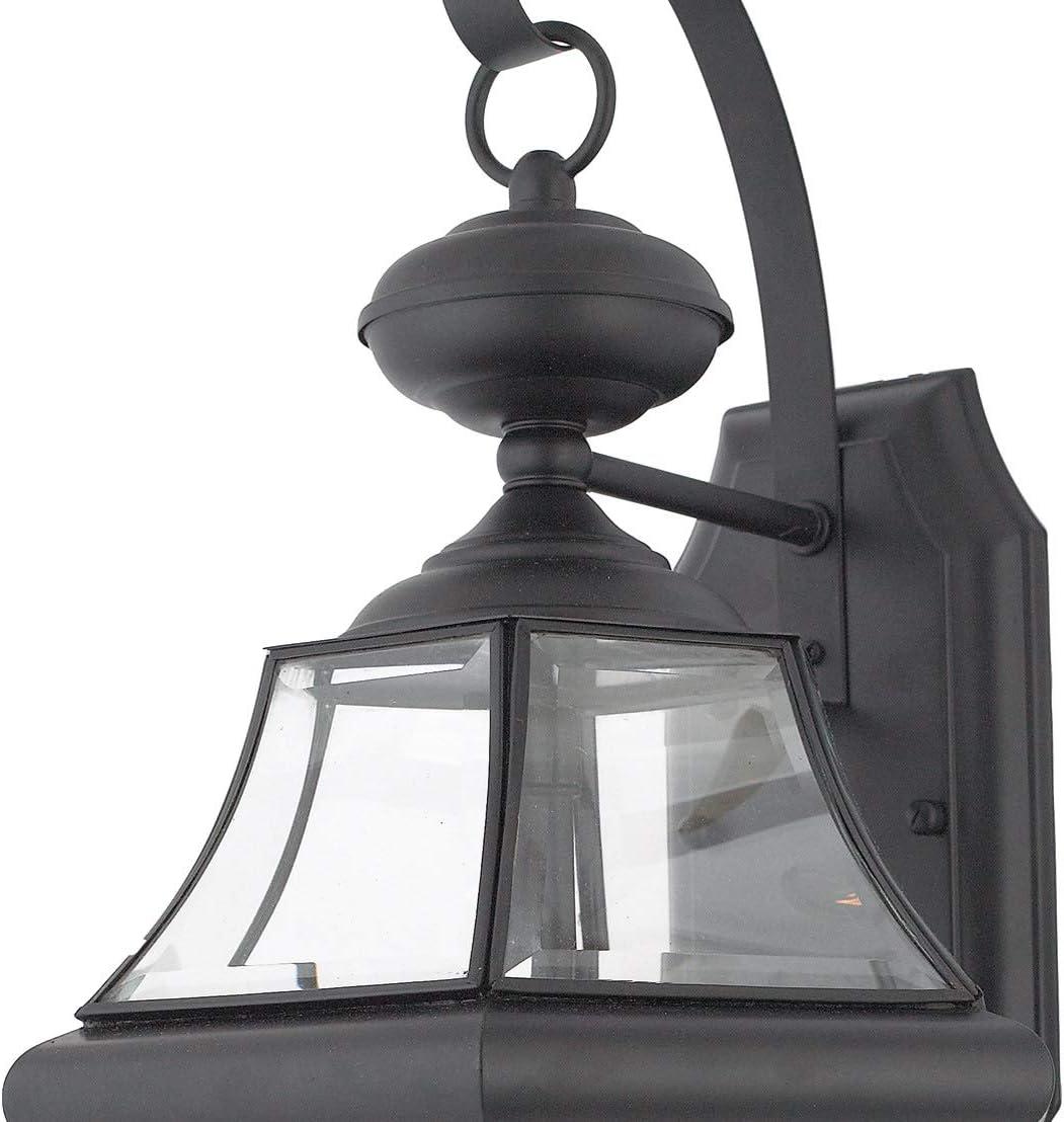 Medici Bronze 20" Outdoor Wall Lantern with Clear Glass