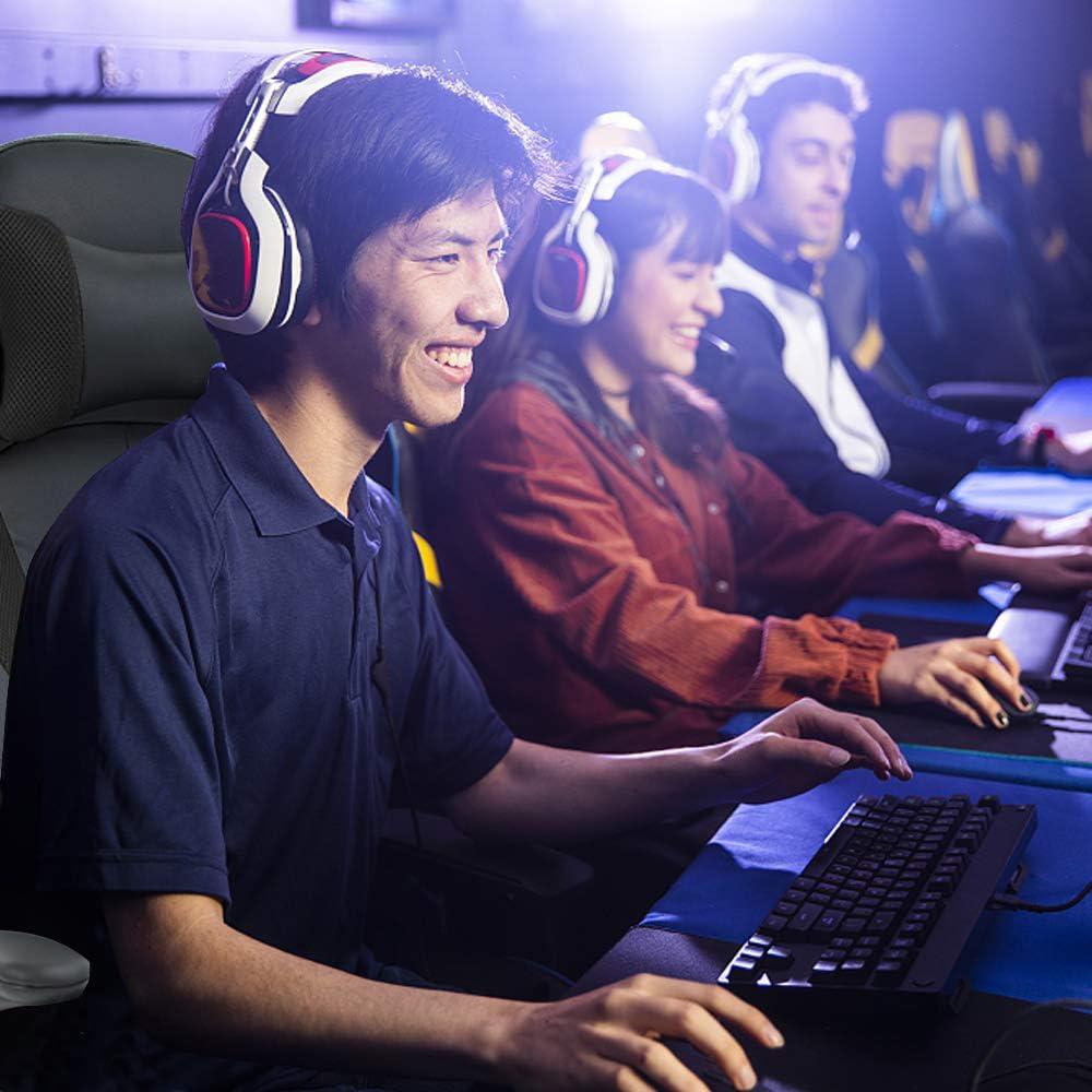 FDW PC Gaming Chair Office Chair Desk Chair with Lumbar Support Flip Up Arms Headrest, Black