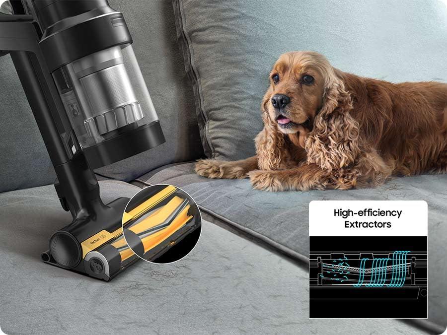 Jet Stick Vacuum Pet Tool with Anti-Tangle Brush