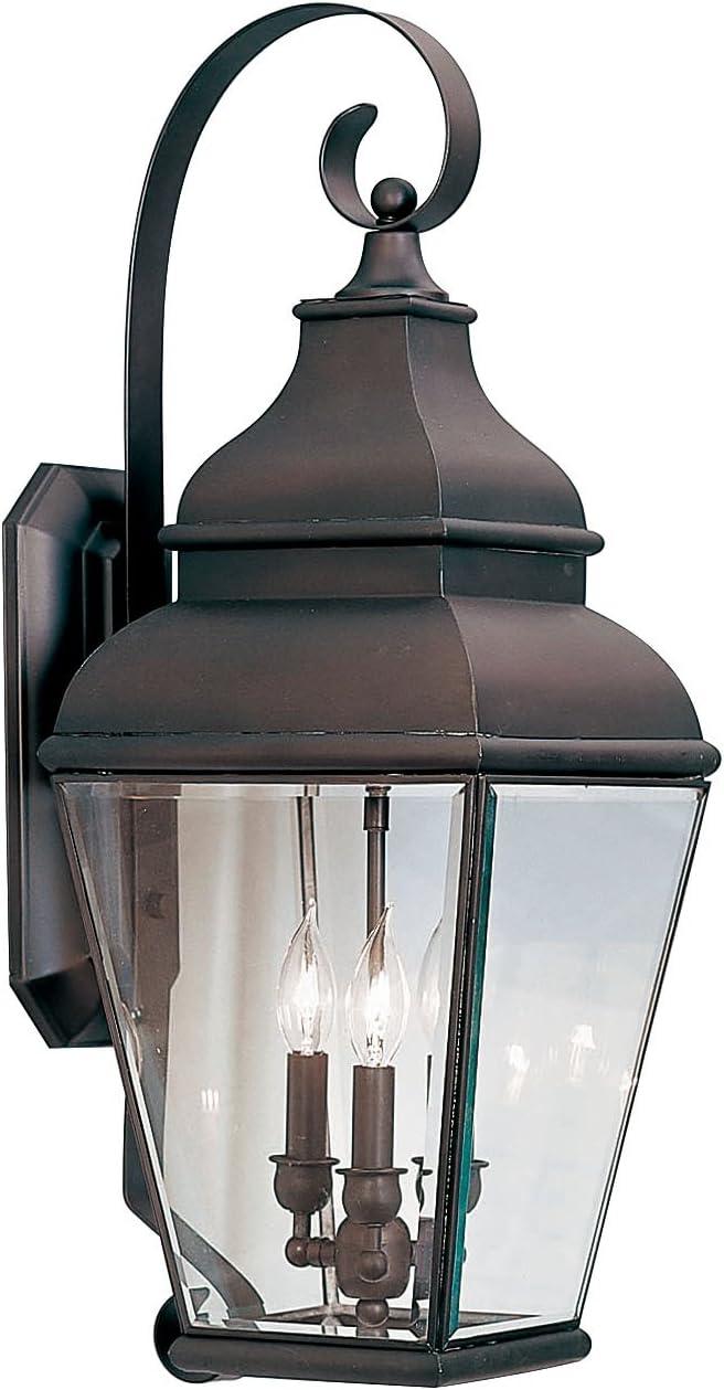 Bronze 3-Light Outdoor Wall Lantern with Clear Glass