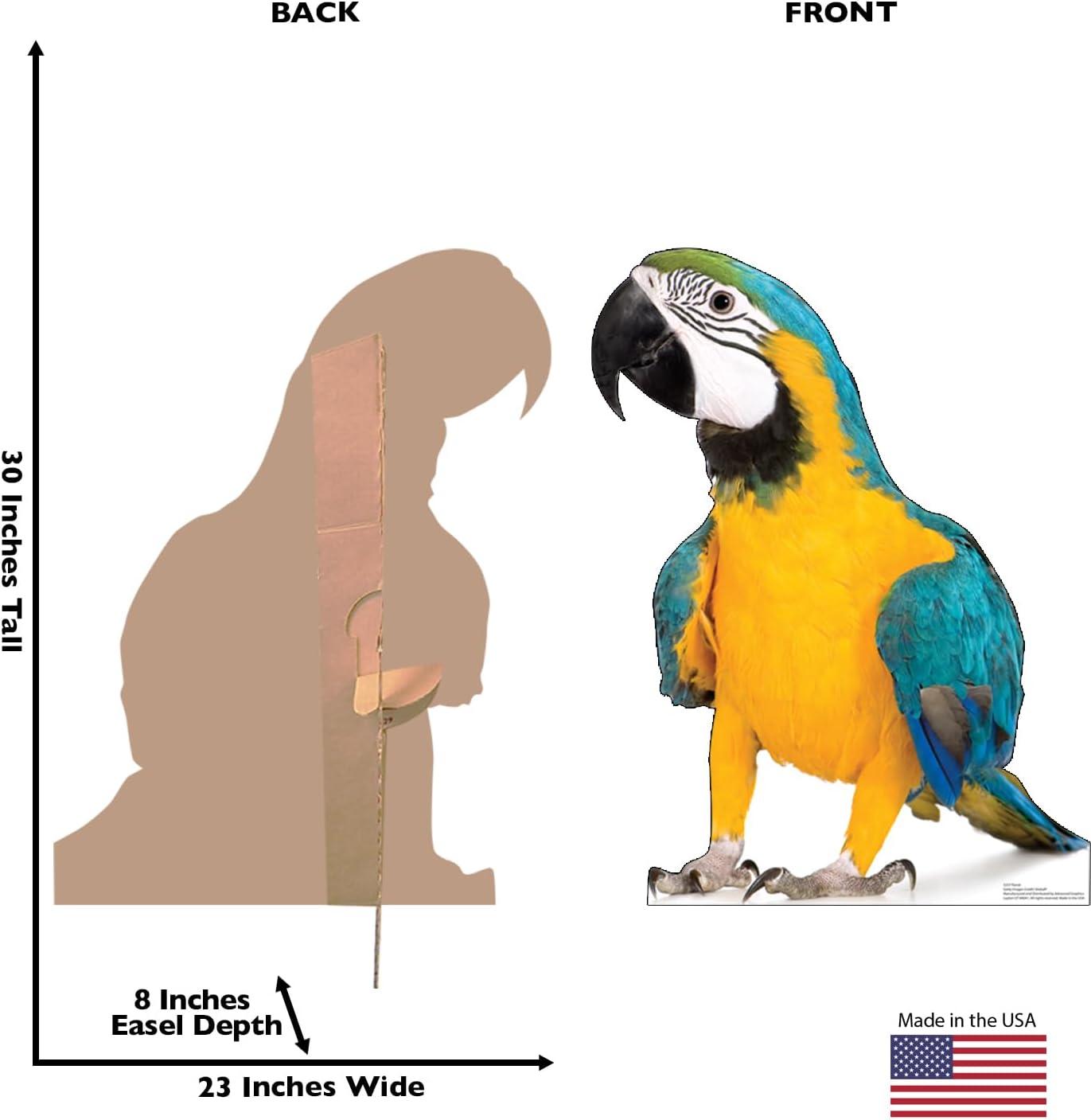 Vibrant Blue and Yellow Parrot Life-Size Cardboard Cutout