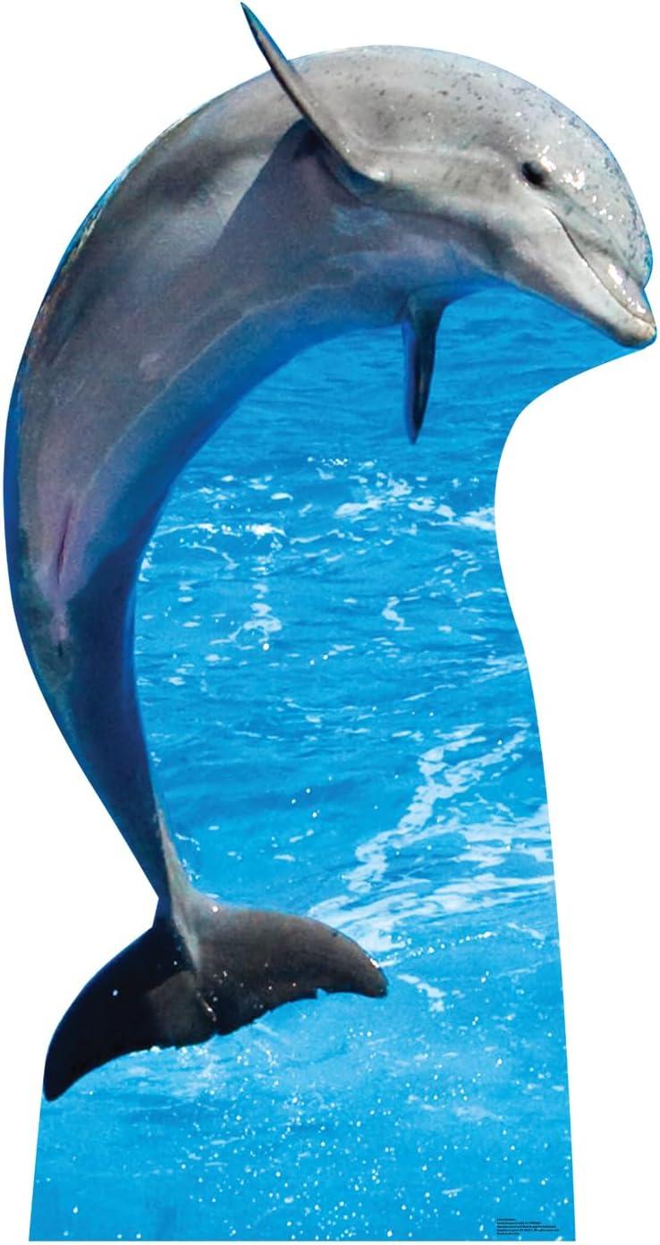 70 x 37 in. Dolphin Life-Size Cardboard Cutout